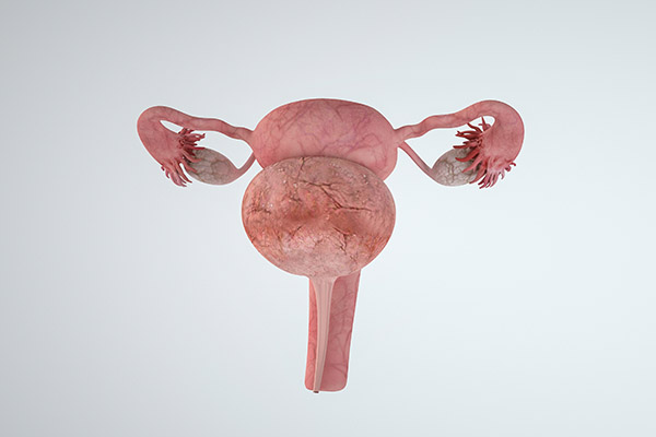 卵巢早衰的症状卵巢早衰有哪些表现
