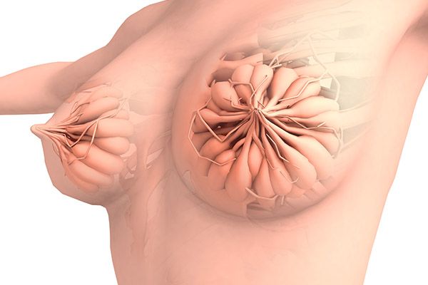 乳房癌症的早期信号 乳房癌症的早期症状