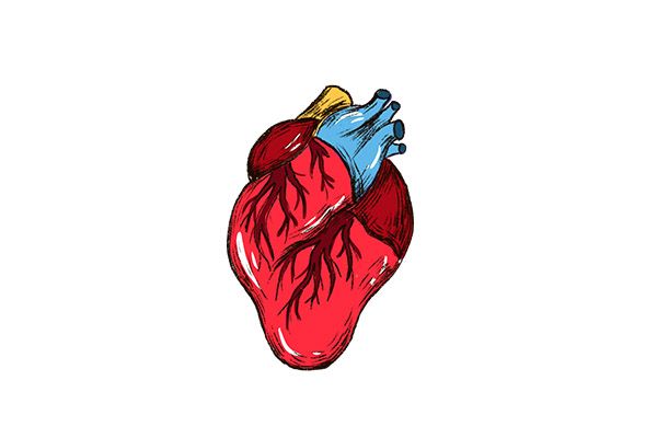 心脏病的早期症状 心脏病有哪些早期症状