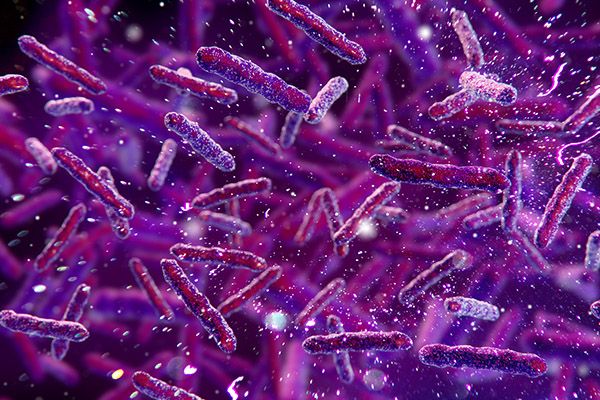 幽门螺杆菌如何根治 幽门螺杆菌的根治方法