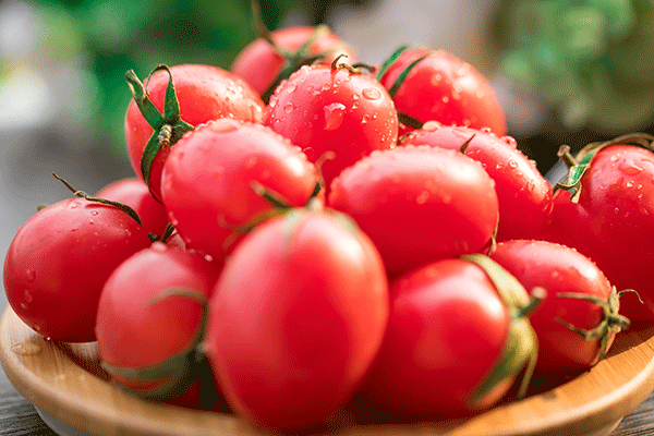 西红柿的功效与禁忌