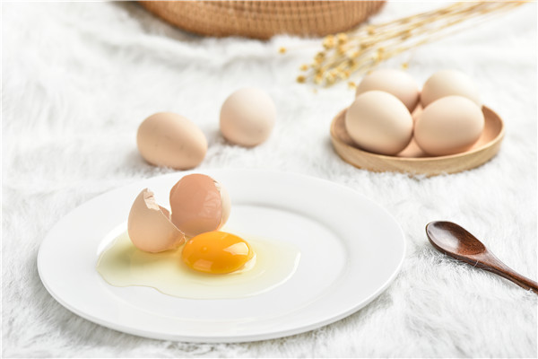 胆囊炎能吃鸡蛋吗