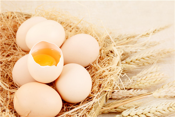 胆囊炎能吃鸡蛋吗