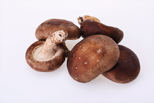 关于蘑菇种类的详细问题