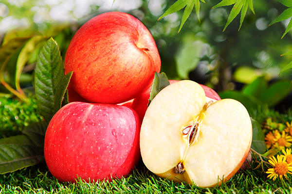 月经期吃什么水果减肥最好