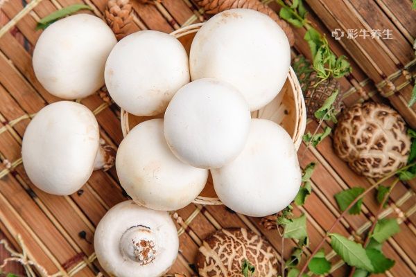 此外,白蘑菇还具有抗菌,抗肿瘤的功效.