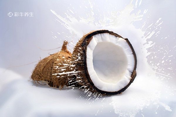 椰子的营养价值及功效