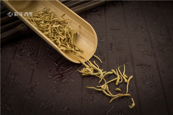 菊花枸杞金银花茶的功效与作用