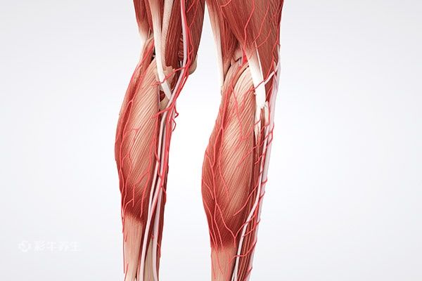 小腿肌肉酸痛是怎么回事啊 小腿肌肉酸痛的原因