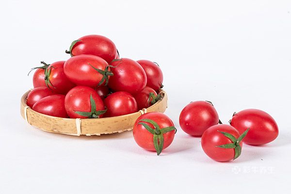 小西红柿的功效与作用