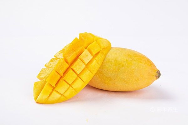 减肥可以吃芒果吗