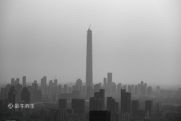 中国拟建全球最大雾霾实验室 防雾霾最管用五方法