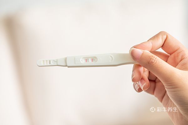 同房后几天可以用验孕棒测出来是否怀孕