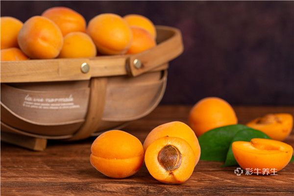 杏子的营养价值和功效与作用