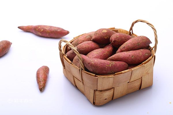 红薯的营养价值及功效与作用
