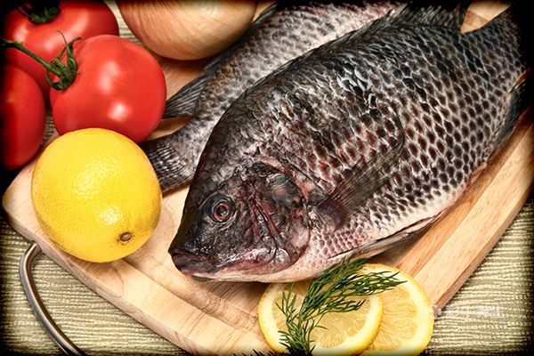 罗非鱼的营养价值及功效