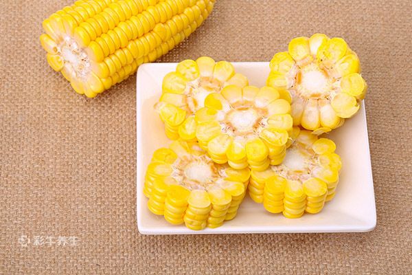减肥可以吃玉米吗