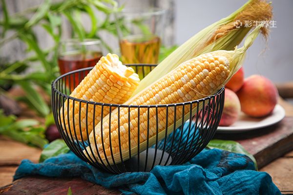 水果玉米可以生吃吗