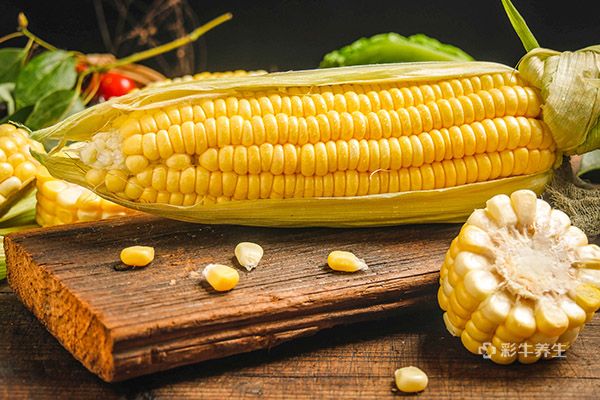 玉米的功效与作用禁忌
