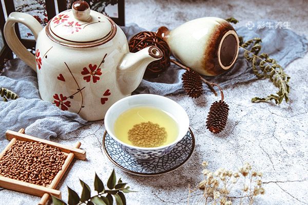 黑苦荞茶的功效与作用及食用方法