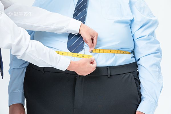 肥胖对身体的危害有哪些