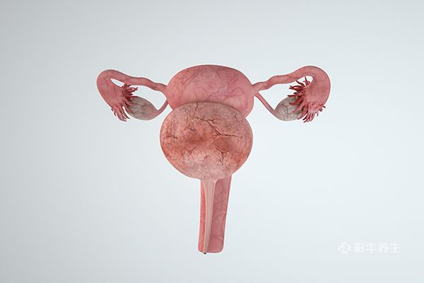 12个保养卵巢的最好方法