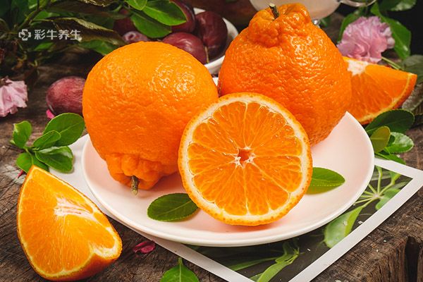 橘子是热性还是凉性