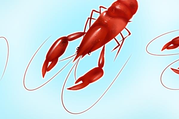 小龙虾和榴莲能一起吃吗 榴莲的作用与功效
