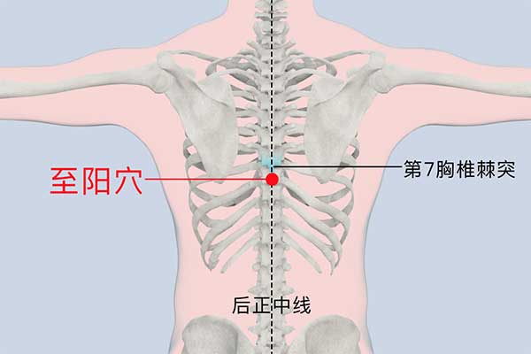 牢記六大救命穴，解突發(fā)癥狀