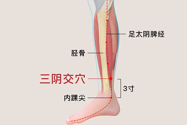 牢記六大救命穴，解突發(fā)癥狀