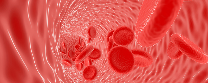 血细胞分析能查出什么