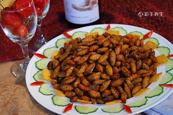 蜂蛹泡酒的作用與功效 蜂蛹泡酒的好處