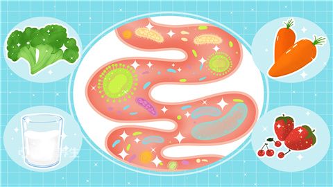 人瘦吸收不好怎樣調理