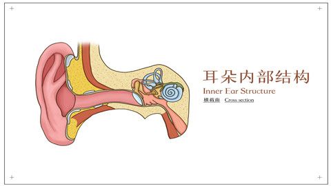 中耳乳突炎是什么意思