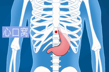 心口窝是心脏窝所在位置,即心口部,也就是胸骨剑突(护心骨)下正中凹陷