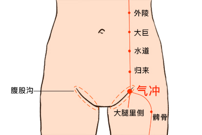 气冲的准确位置图片