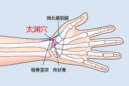 太渊穴位置图