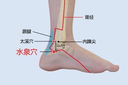 水泉穴位置图