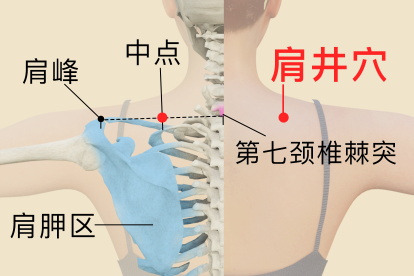 肩井在哪个位置图片图片