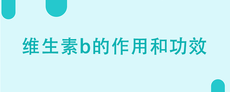 維生素B的作用和功效