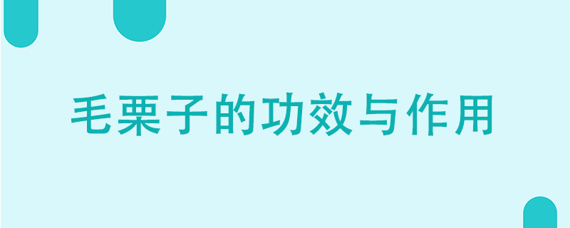 毛栗子的功效与作用有哪些