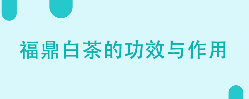 福鼎白茶的功效與作用有哪些