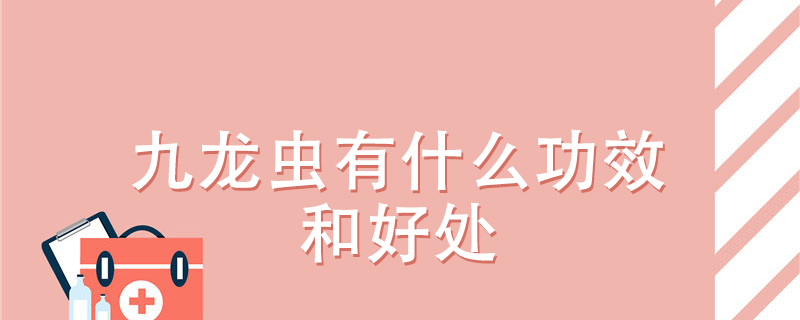 九龙虫有什么功效和好处}