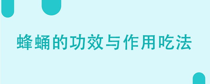 蜂蛹的功效與作用、吃法有哪些