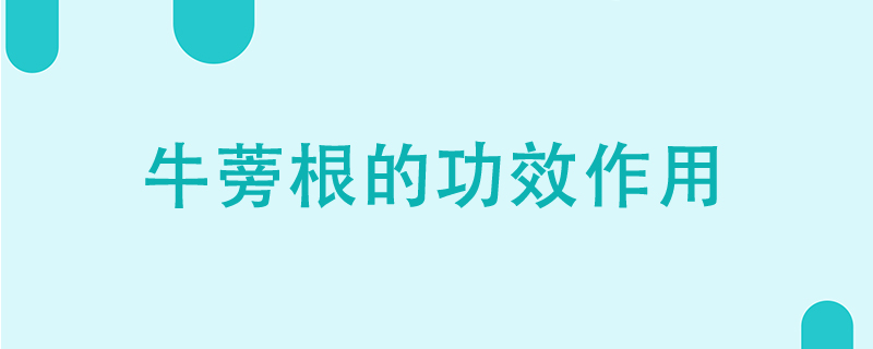 牛蒡根的功效和作用是什么