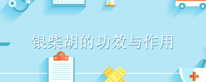 銀柴胡的功效與作用是什么