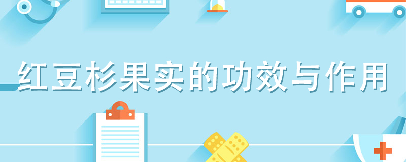 红豆杉果实的功效与作用是什么