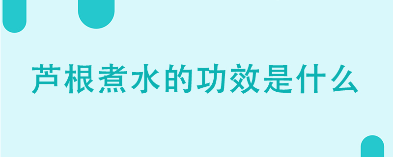 蘆根煮水的功效是什么