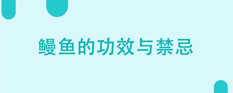 鳗鱼的功效与禁忌有哪些