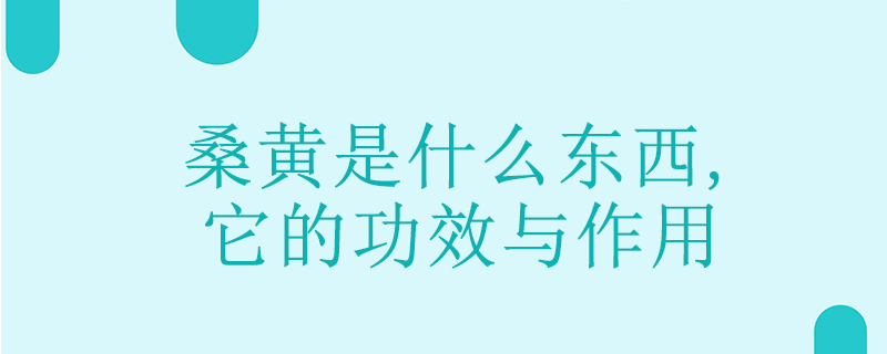 桑黃是什么，功效與作用有哪些